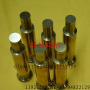 �մɉ�Ƭģ��