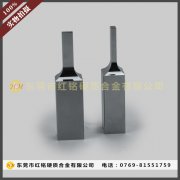 �u䓛_� �u䓛_��ģ��