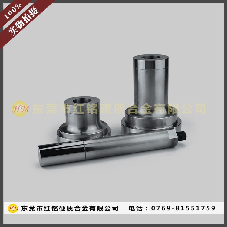 �F���Xģ��